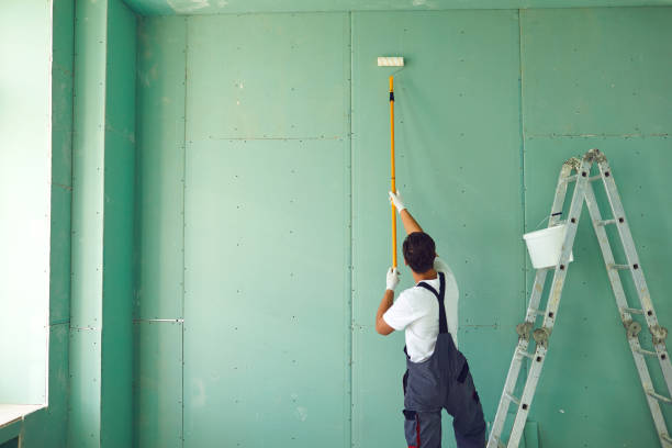 Environmental Consulting for Mold Prevention in Cologne, MN