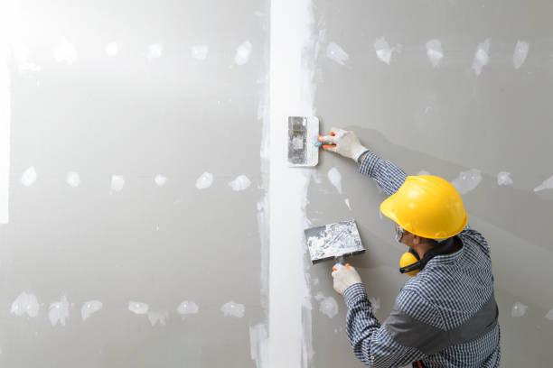 Forensic Mold Investigation in Cologne, MN