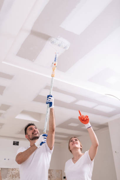Best Industrial Mold Remediation  in Cologne, MN