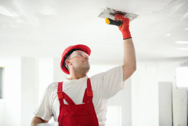 Best Industrial Mold Remediation  in Cologne, MN