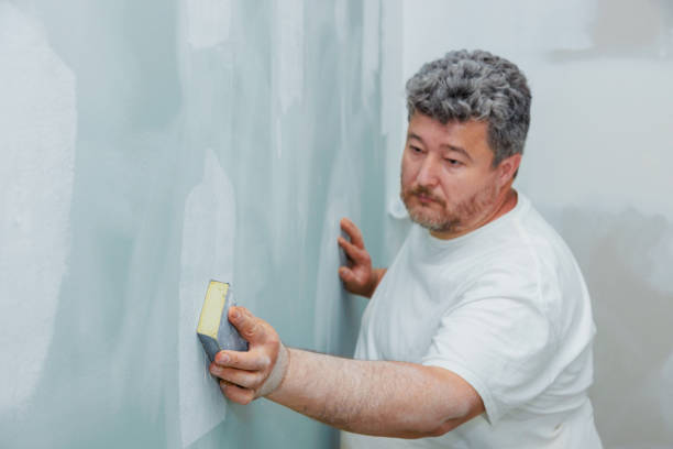 Cologne, MN Mold Removal Company