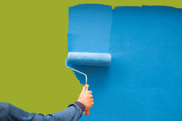 Best Emergency Mold Remediation  in Cologne, MN